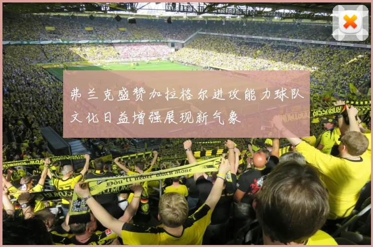 弗兰克盛赞加拉格尔进攻能力球队文化日益增强展现新气象